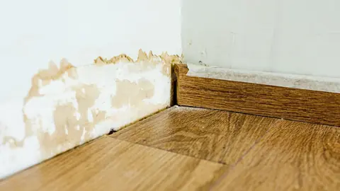Water stain and peeling paint on a wall above a wood baseboard and floor