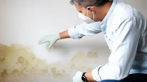 Inspector in a face mask and glove checking a water-stained wall